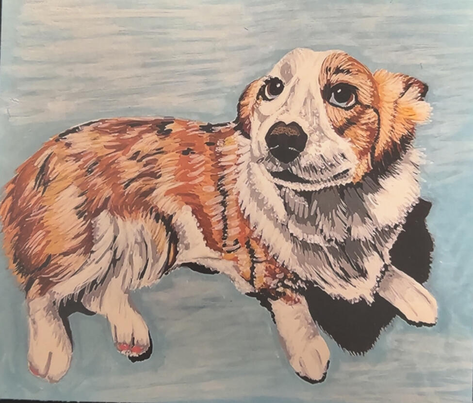 Pet Portrait Commission in Acrylic