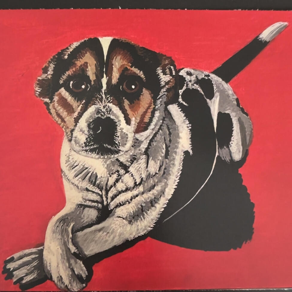 Pet Portrait Commission in Acrylic